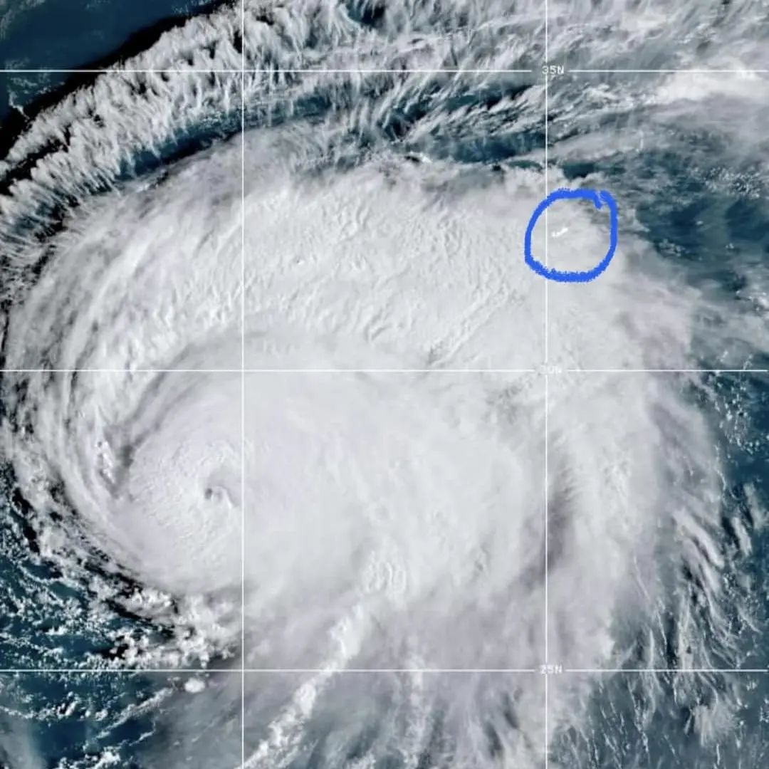 Growing up with hurricanes