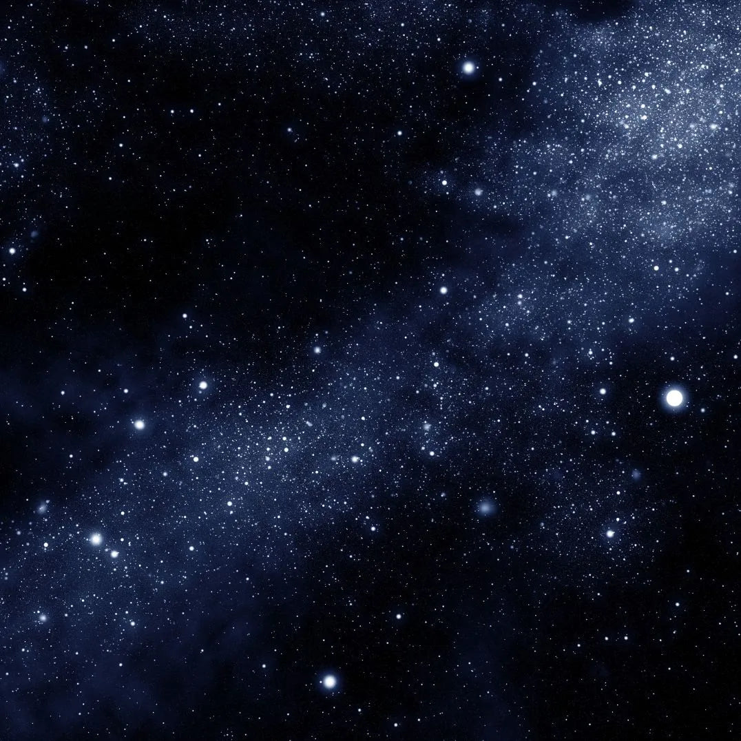 Evening Black Cashmere Scarf