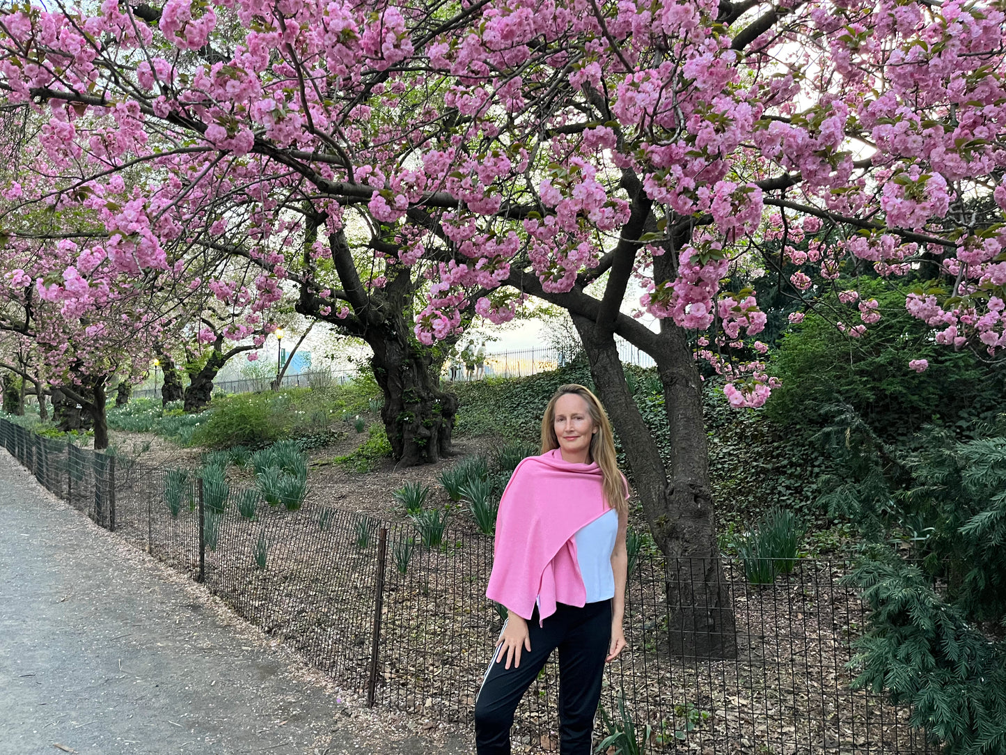 Pink Frangipani Cashmere Scarf