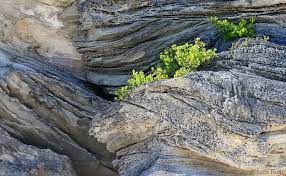 Limestone Gray cashmere