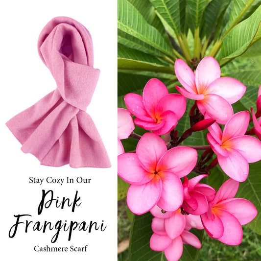 Soft Cashmere Scarf In Frangipani Pink