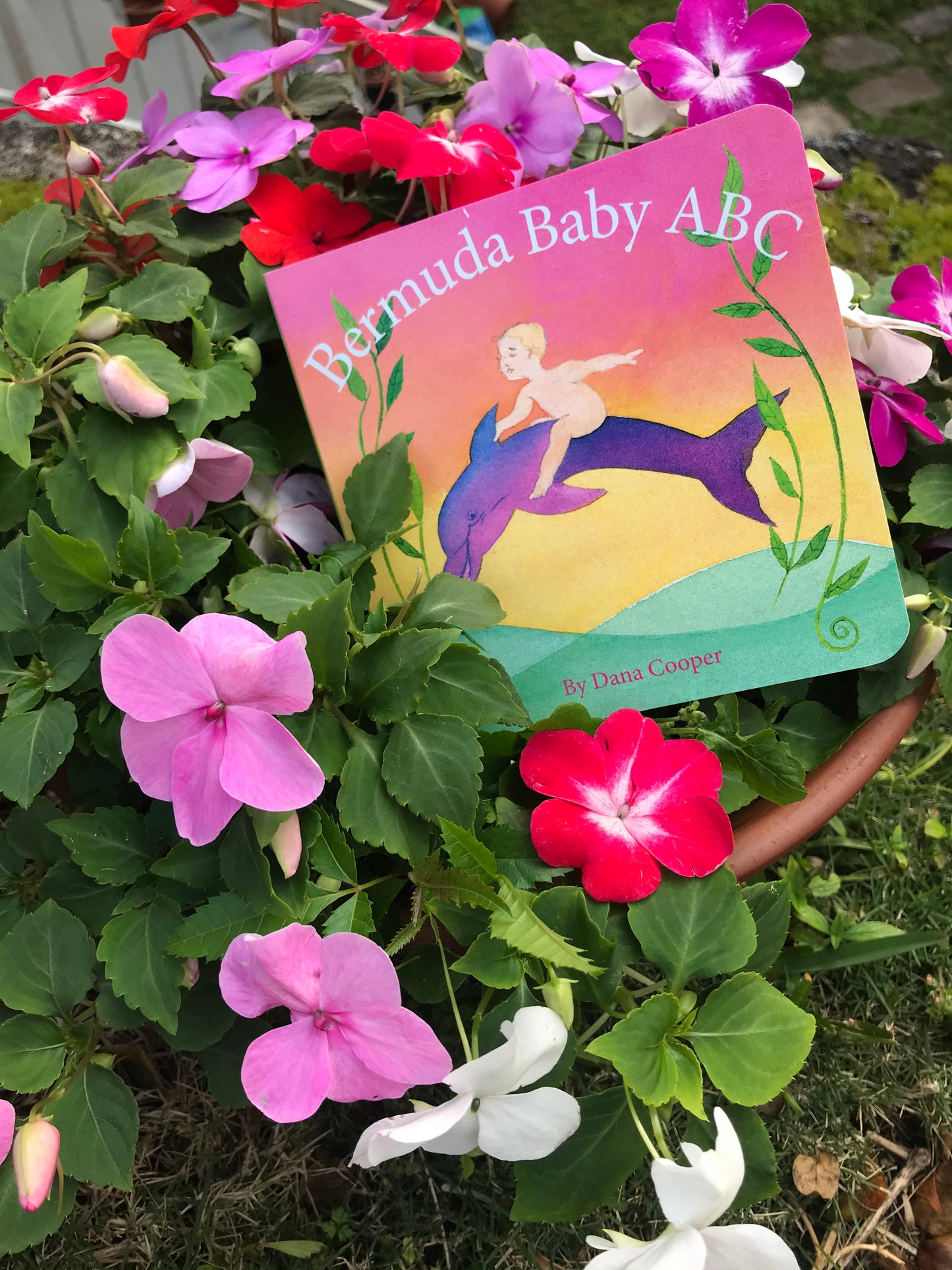 My Bermuda Baby ABC book