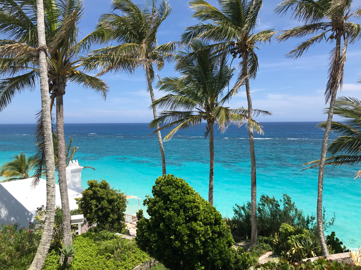 Palm Trees on a Sunny Blue Beach