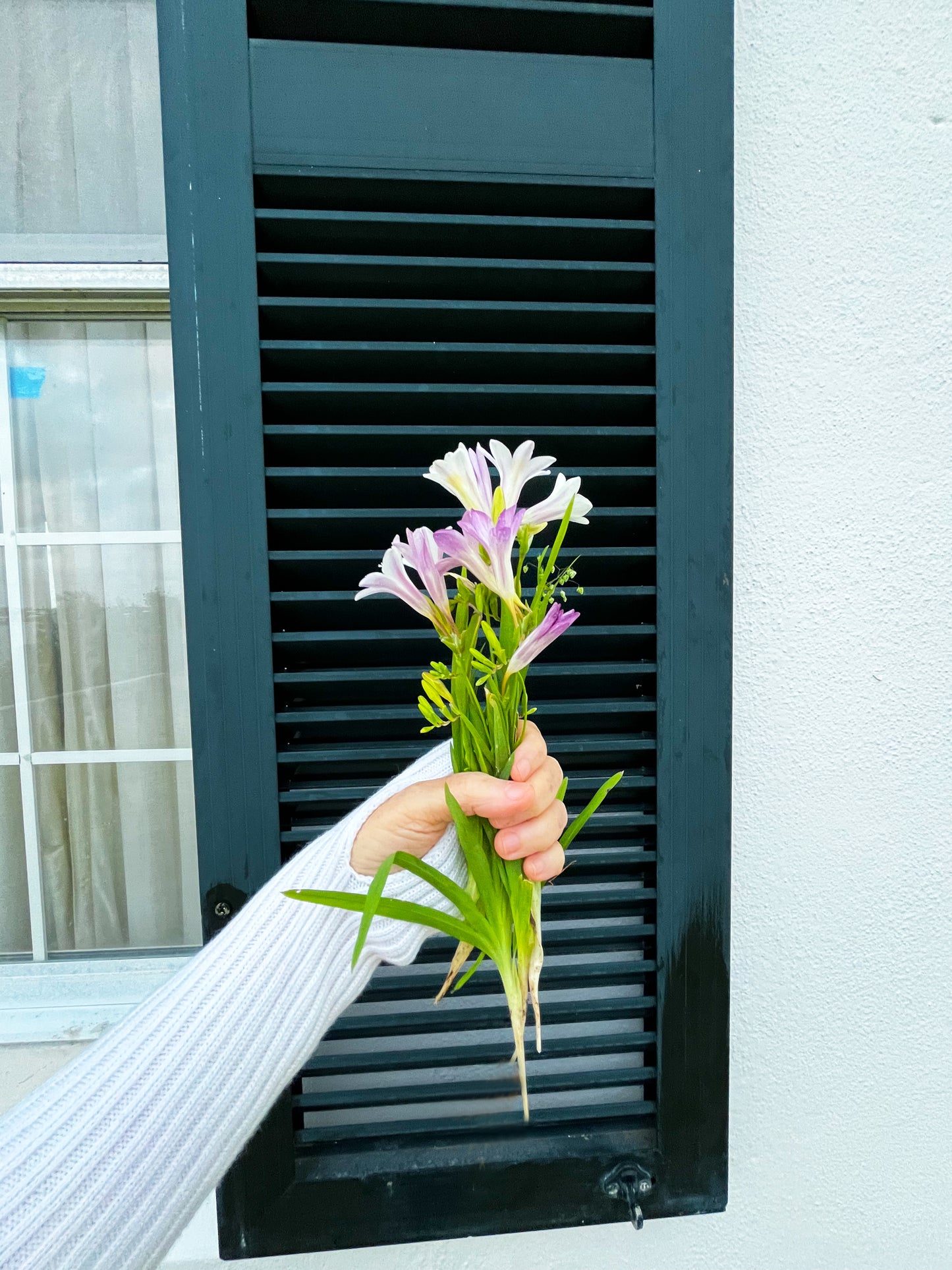 Island Freesia Fingerless Gloves