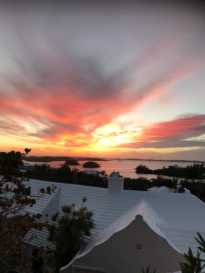 Evening Black Cashmere Scarf
