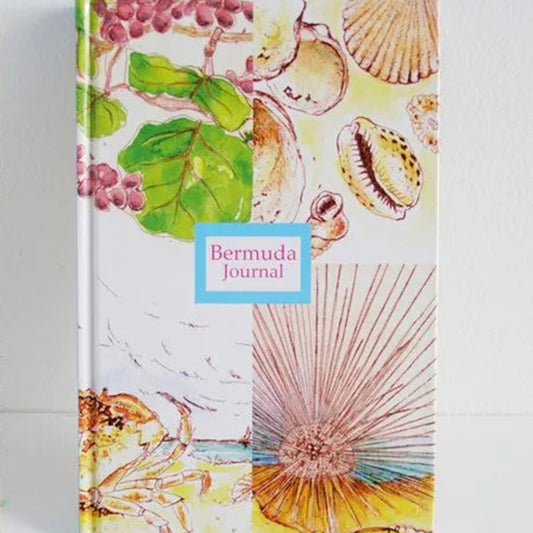 Bermuda Journal Sea Shells